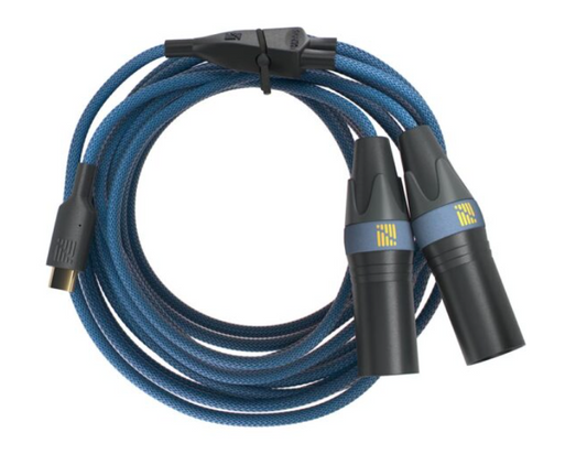 USB-C DAC a doble ISO-XLR™ – The SoundWire 🎧🔗🎚️